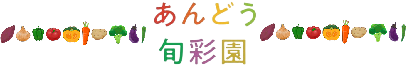 あんどう旬彩園｜福島市の新鮮野菜をお届けする農園